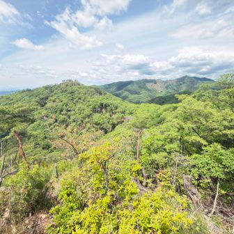 紫山からの眺望👀