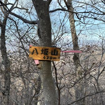 八坂山（やさかやま）登頂🙌