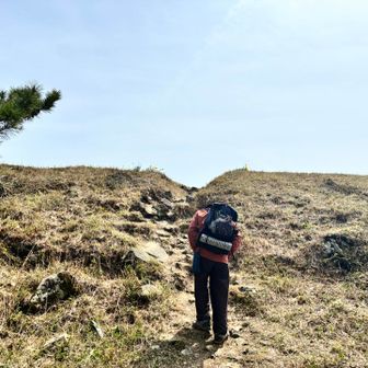 トニーさんに追いついた✨