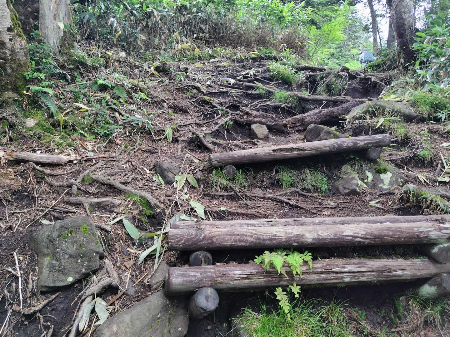 このあたりから段差のある道へ