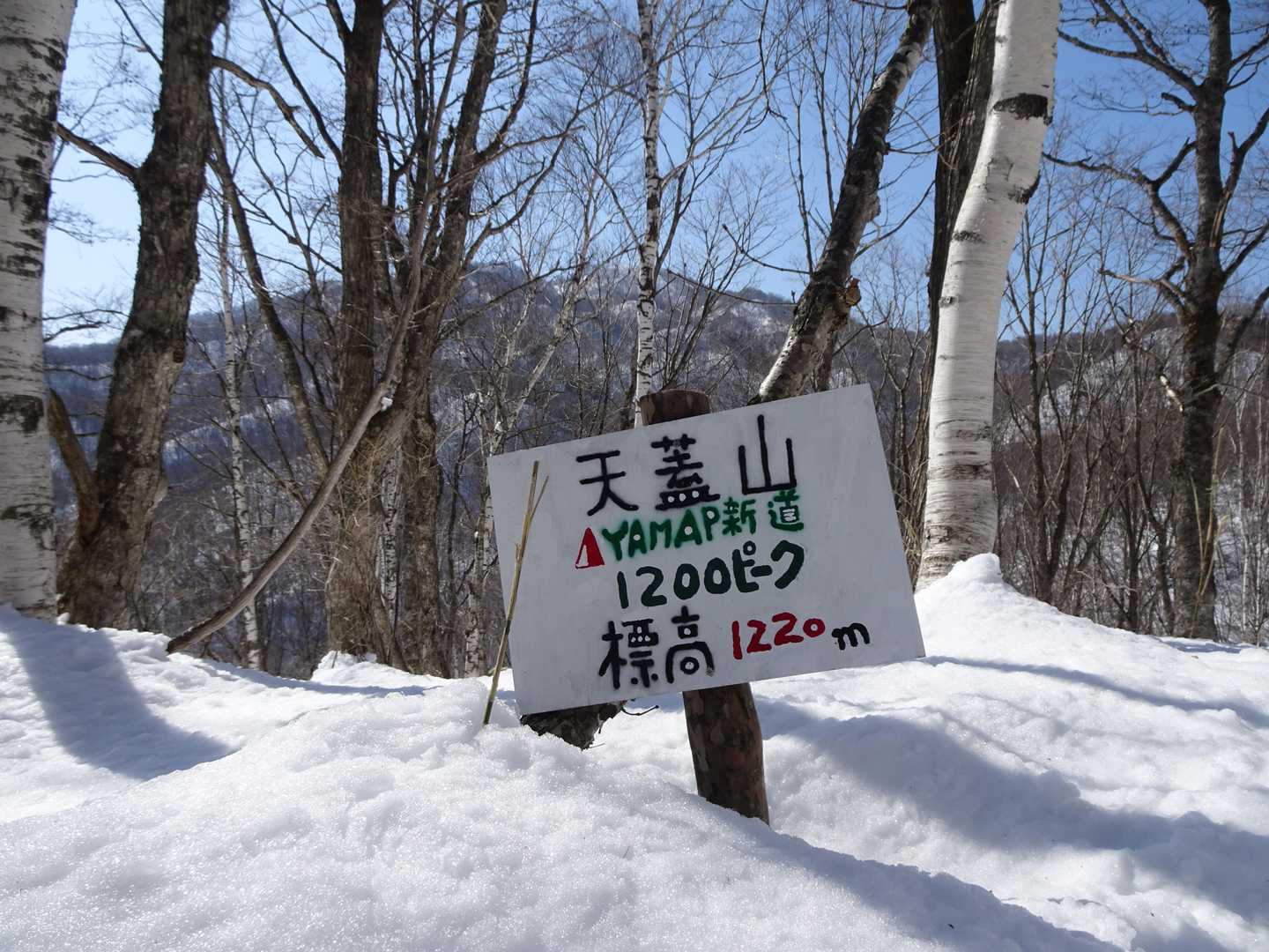 1200ピークの奥に見えてるのが天蓋山👆