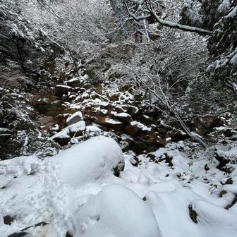 素敵な道です。