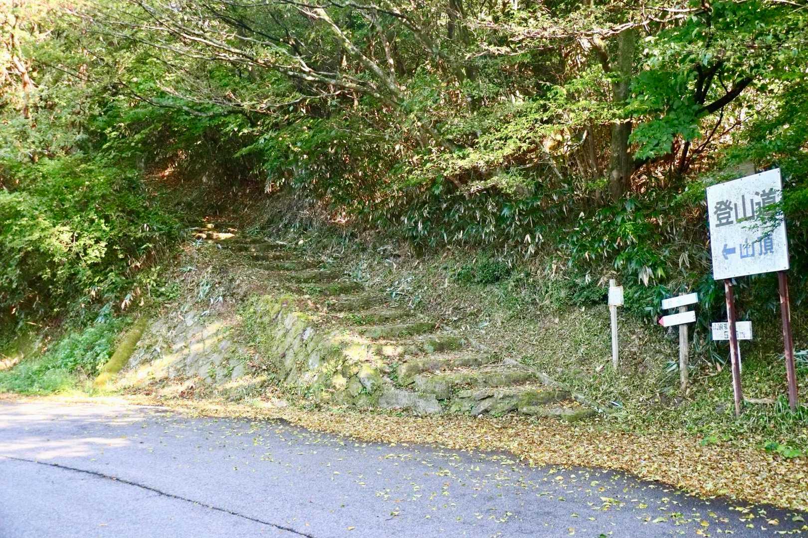 途中、車道に出るけど
目の前にはまた山道