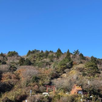 神社からつつじが丘の駐車場へ戻る為、ほとんど使った事ない迎場コースをえっちらおっちら歩きました🚶‍♀️
これが想像以上に長い道のりでバテバテ😰
足が思うように上がらなくて🦵