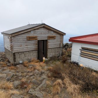 避難小屋？
作業していた方の倉庫？