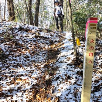 ココを右折が正解
目の前の木のピンクテープに惑わされまっすぐ進んでしまいました😅