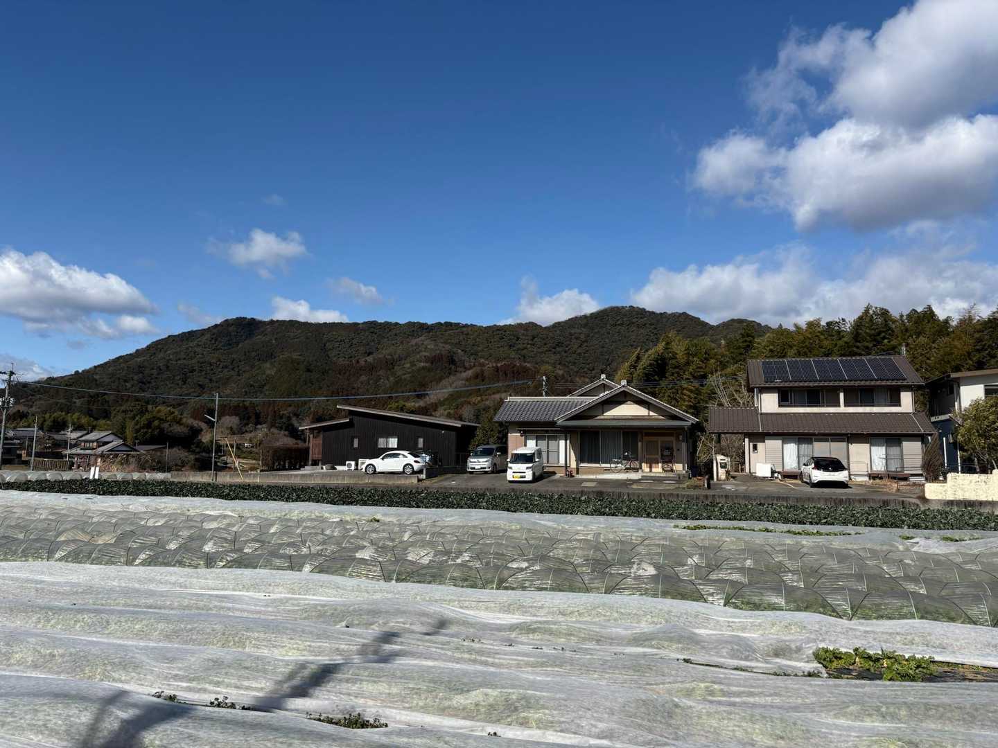 水ヶ城山-羽衣山-三ツ頭-ツルガ山 周回コースの写真