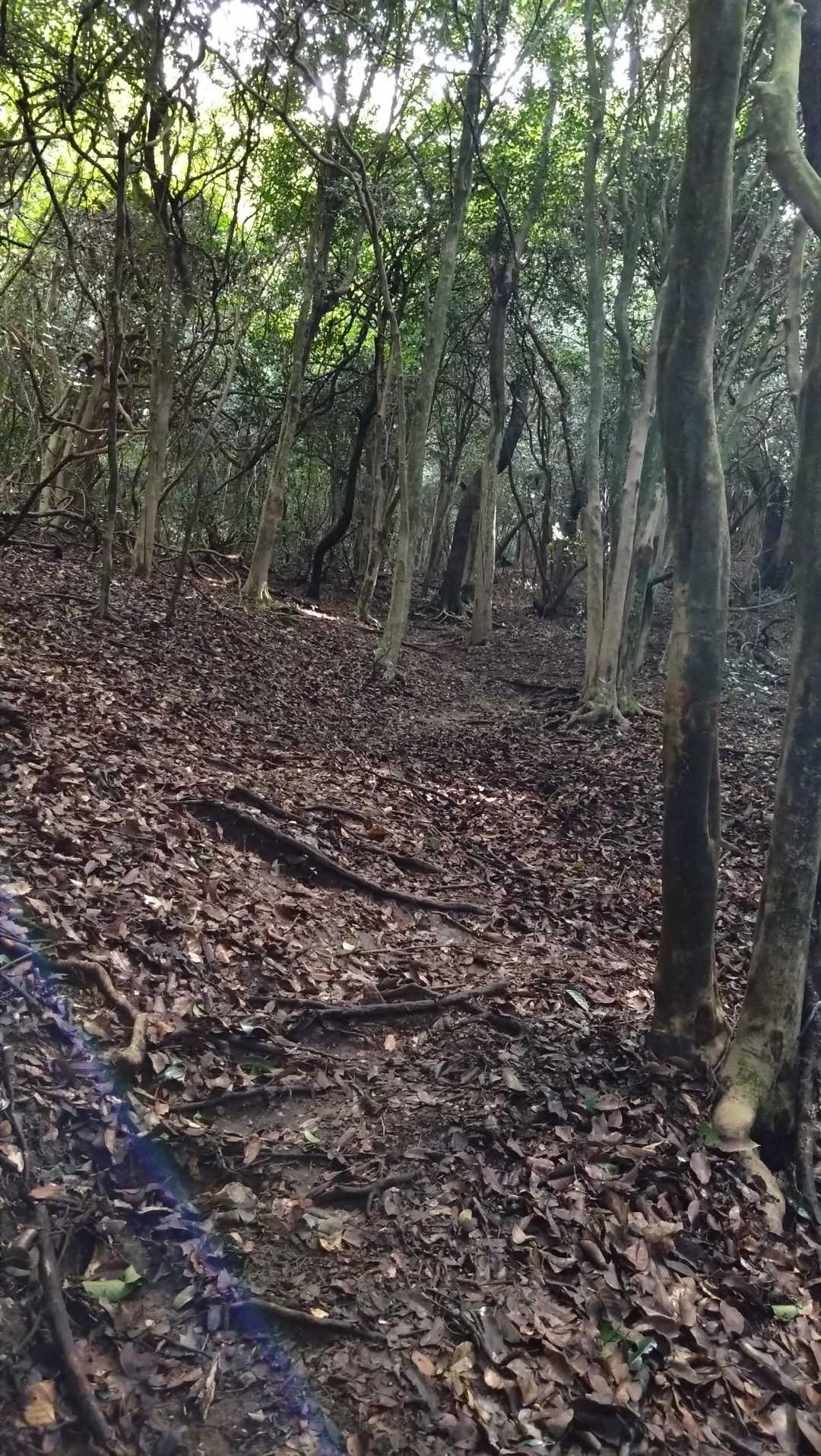 しんどいけど、ぼちぼち