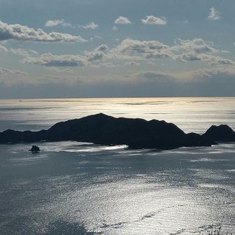 大島展望台からの大島🏝️