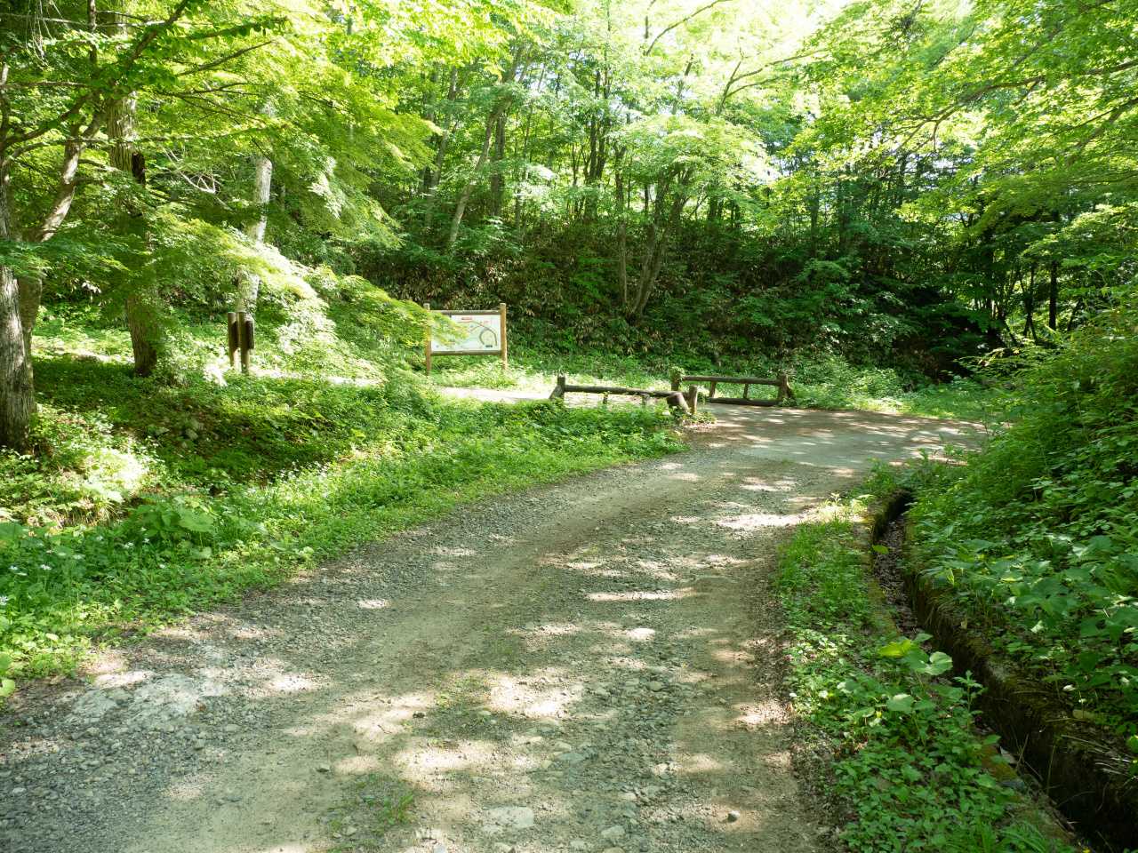 キャンプ場へと下りてきた。
