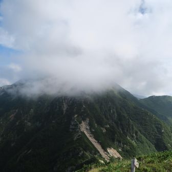 スゴの頭から越中沢岳を振り返る