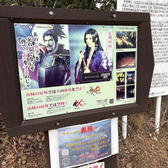 両崖山は2021年に大規模な火災がありました。
まだその爪痕が残って居て。少しずつ森🌳再生はしてきていますが、まだまだ。