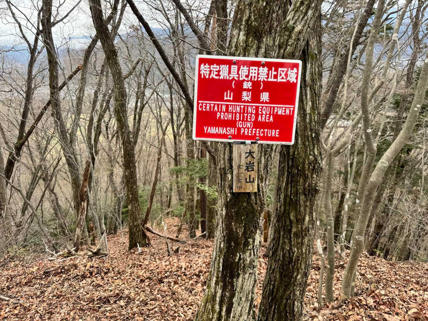 大岩山。
アップダウンがキツイよー。