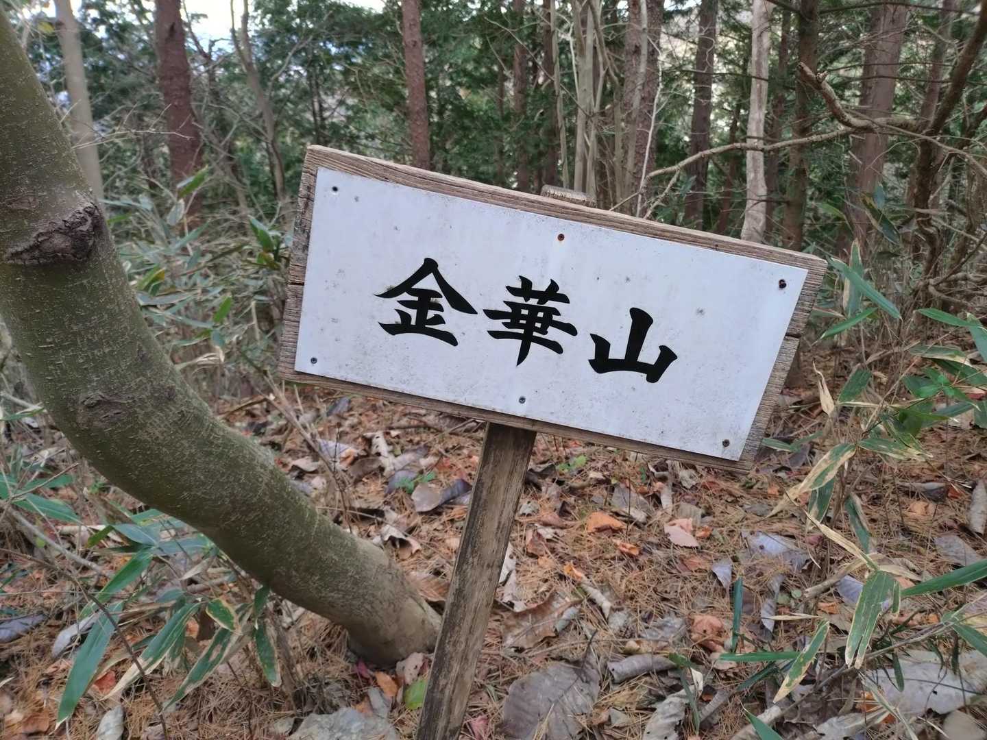 最後の急登、キツかった!