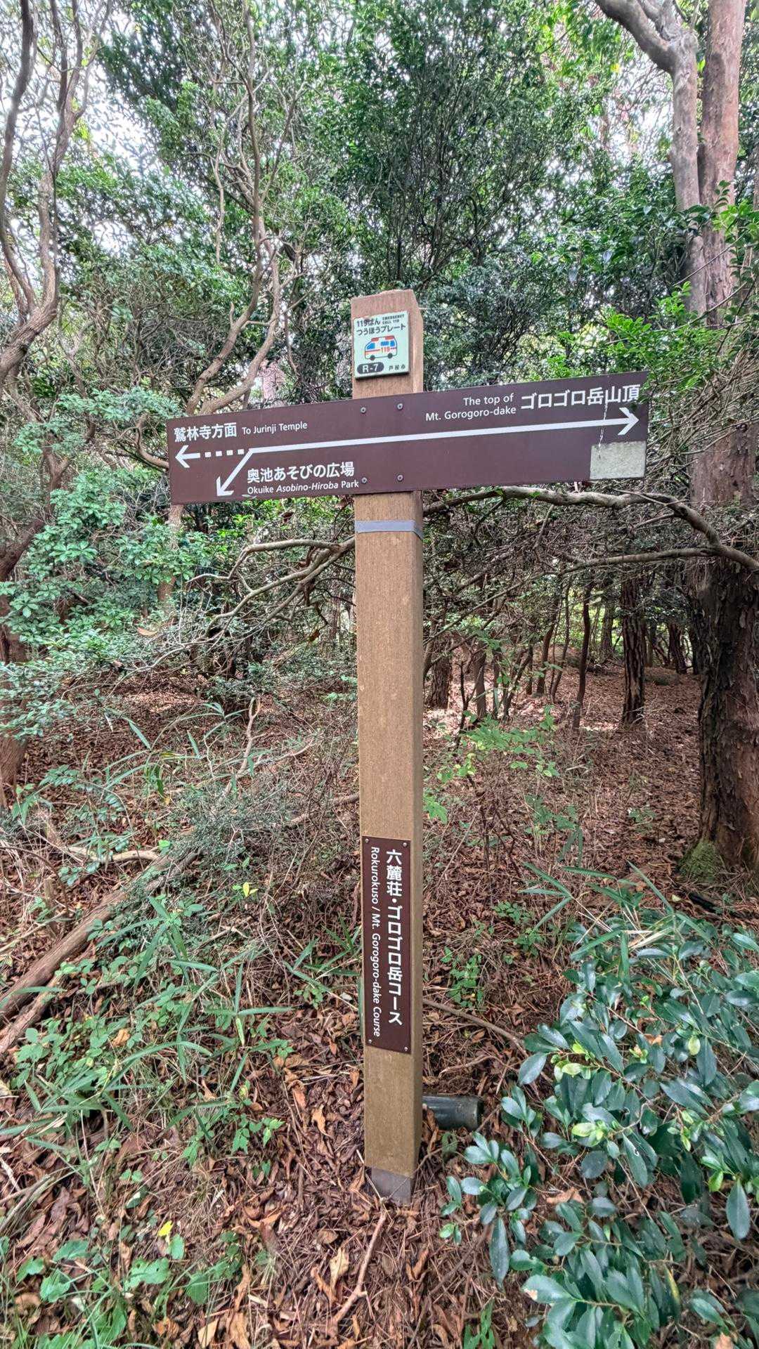 苦楽園コース登山口-ごろごろ岳-観音山 縦走コースの写真
