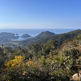 下に残っていた木を切り完成した