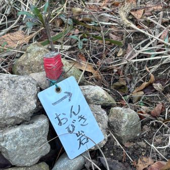 お目当ての岩へ参りましょう