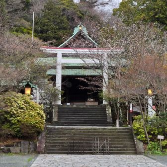 桜🌸の花に覆われた社殿。