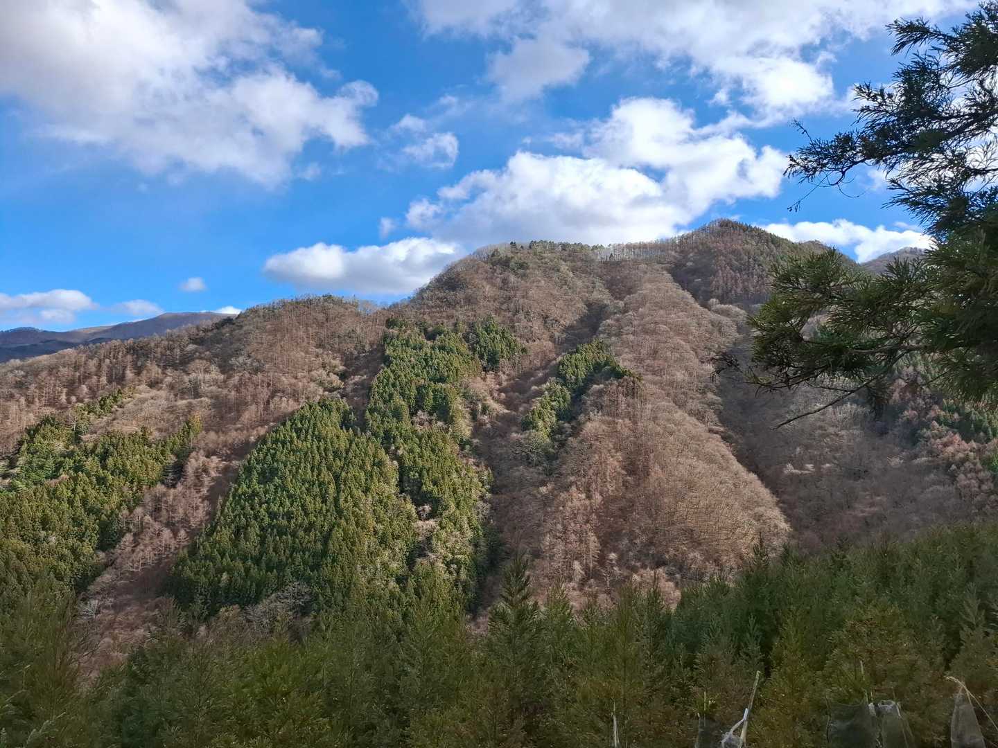 葉っぱのない山もキレイよ😎