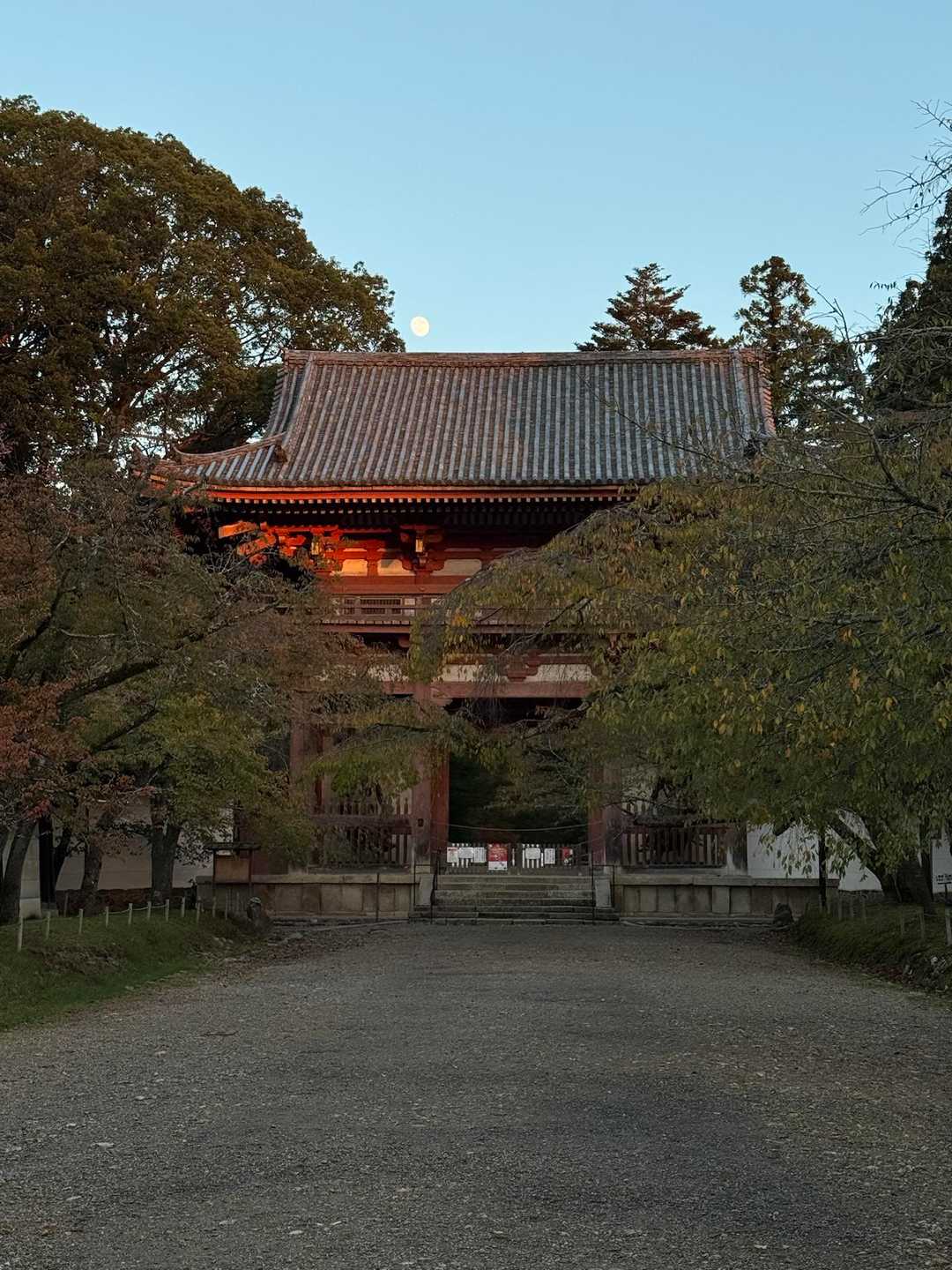 降りて来たらすっかり夕陽が傾いて月が昇り始めていました🌗
本日は下山グルメはなし。
まっすぐおうちに帰りました🚌