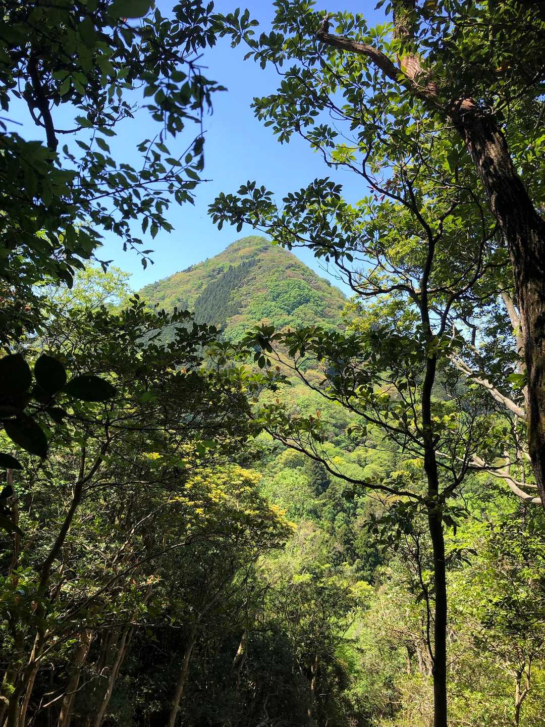 あのトンガリが千燈岳⛰️❓