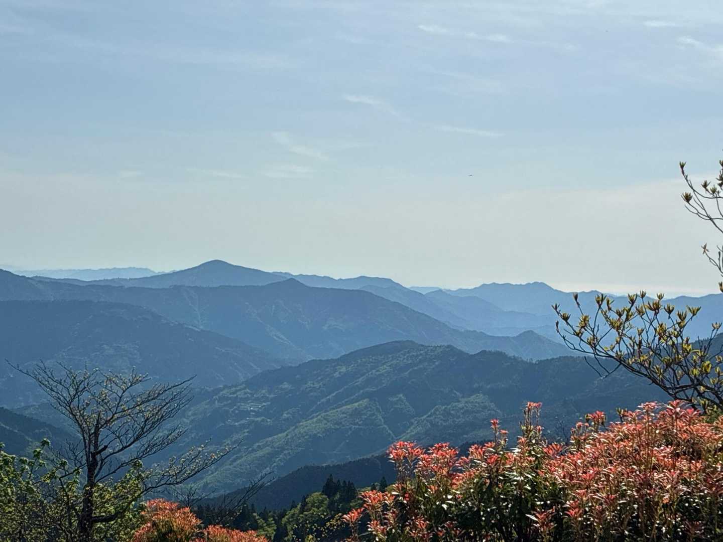 大河内越-三方岳 往復コースの写真