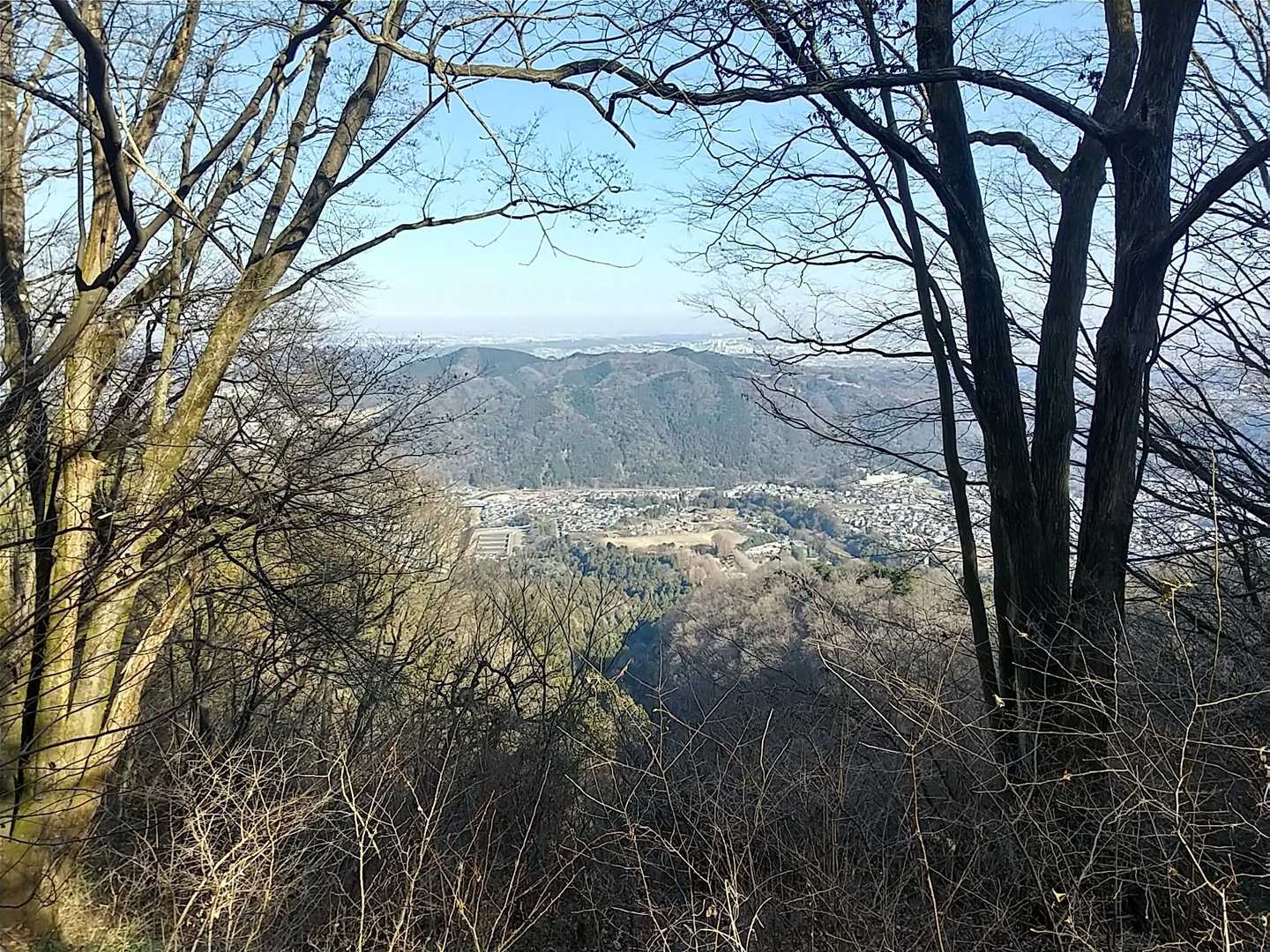 木間から僅かな景色が、