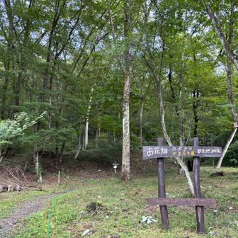 登山口…こちらに下山しました