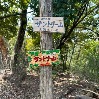 サントリー山到着！かわいいねー