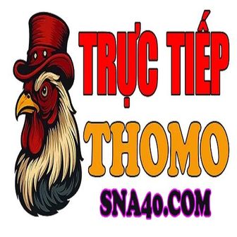 ĐÁ GÀ TRỰC TIẾP THOMO