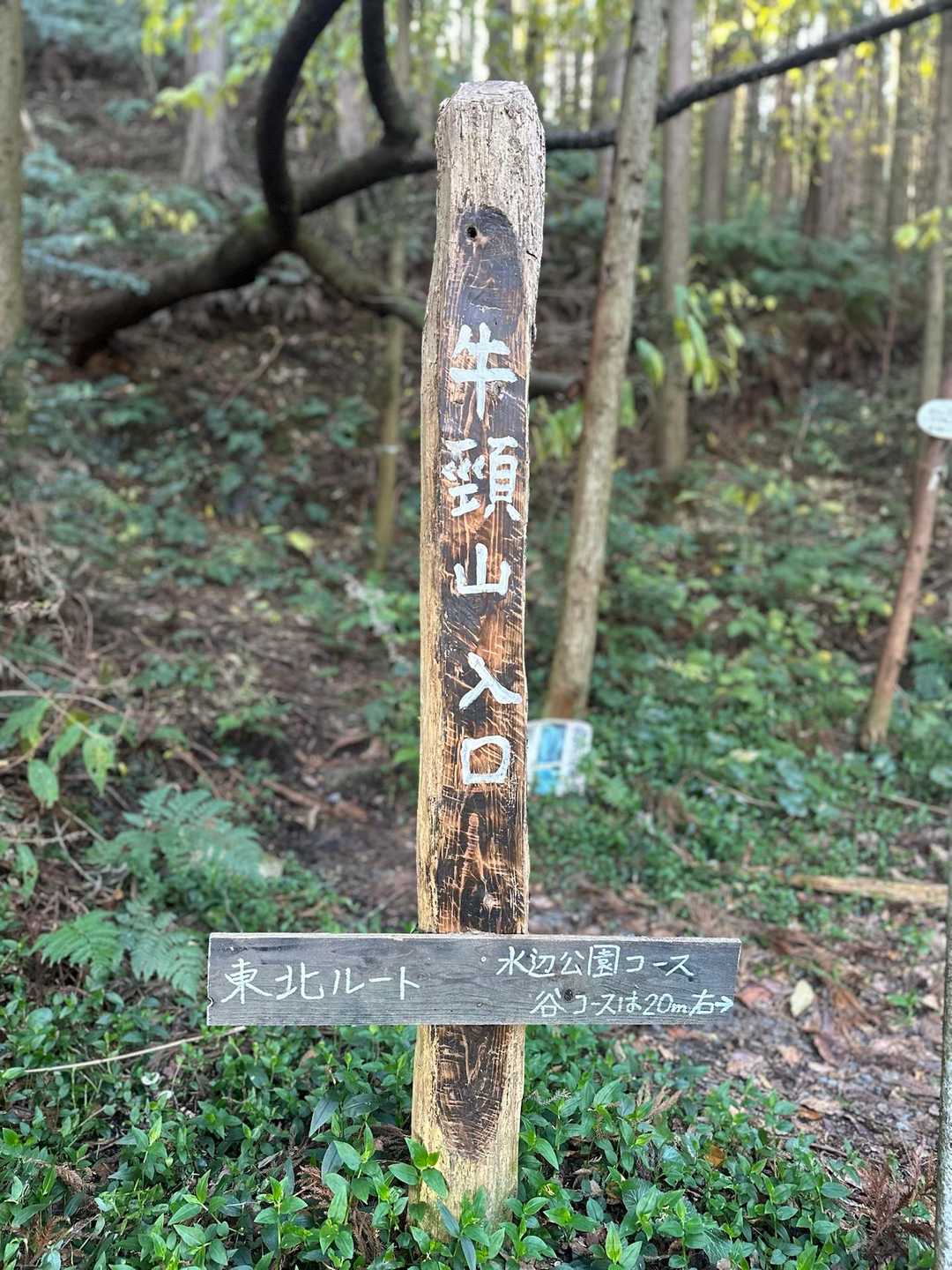 はじめまして😊