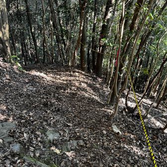 東の宮に向かいます