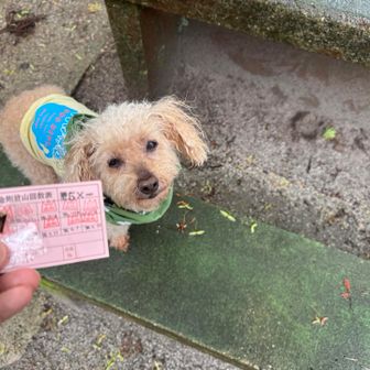 今日で49回目だと思っていたら、50回目でした💦

🐶ラボくん、金剛山50回目おめでとう🎉 👏👏👏

黒バッジ⛰️もらえたね〜✨