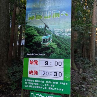 遅くまで動いてるんだ