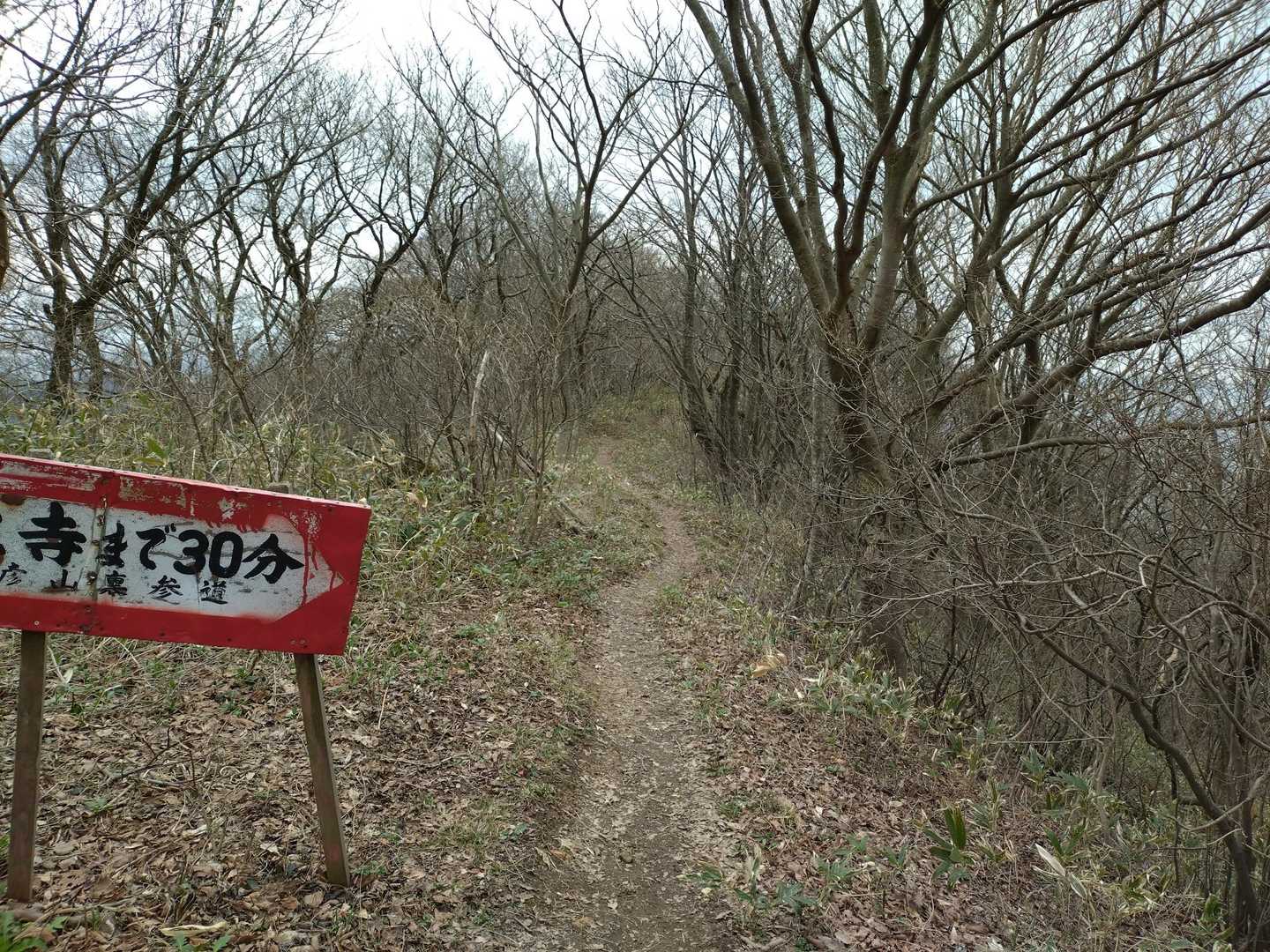 西生寺分岐は右に、八まめ沢駐車場はまっすぐに🚶
N3P縦走の主脈です。
ここからが素敵なんです♪