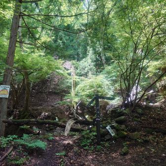 高川山登り口