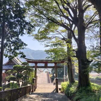 鳥居の先に相模湖