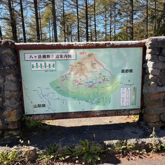 駐車場に戻りました

お腹空いた！