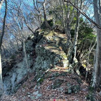 岩が立ちはだかっています。ここが標高点850ｍの地図上での壁岩峠で、文字通り正面に壁岩があります。この岩は意外とすんなり正面から登ることができました