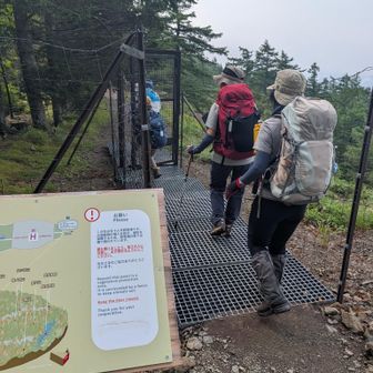 キャンプ場エリアに侵入