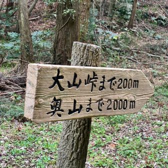 広島２日目！
このあたり縦走したかったが、スタート遅くて🤣