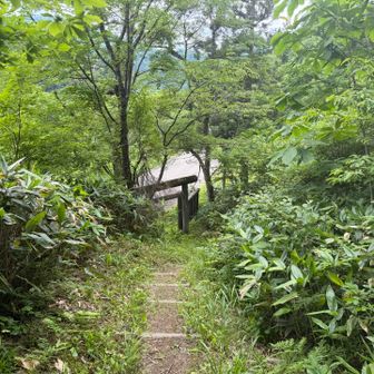 そして下山。後は車道を歩いて帰ります。