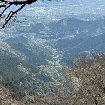 こま参道が見下ろせる場所がある事に初めて気付いた。