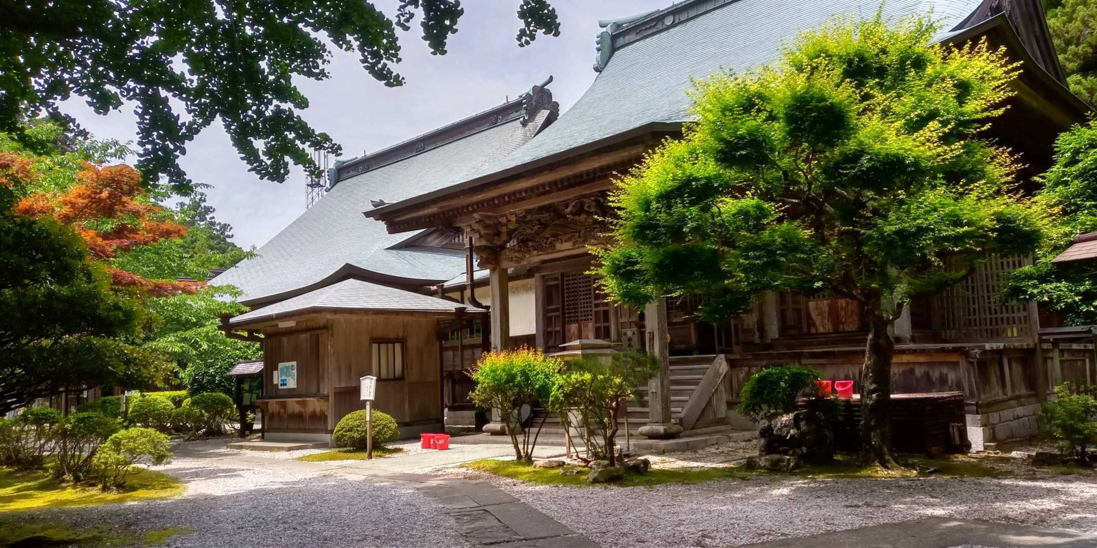 太竜寺山 往復コースの写真