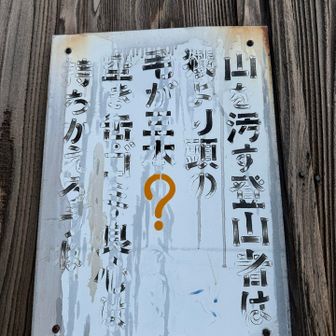 私の頭の毛も減ってきてる
助けて