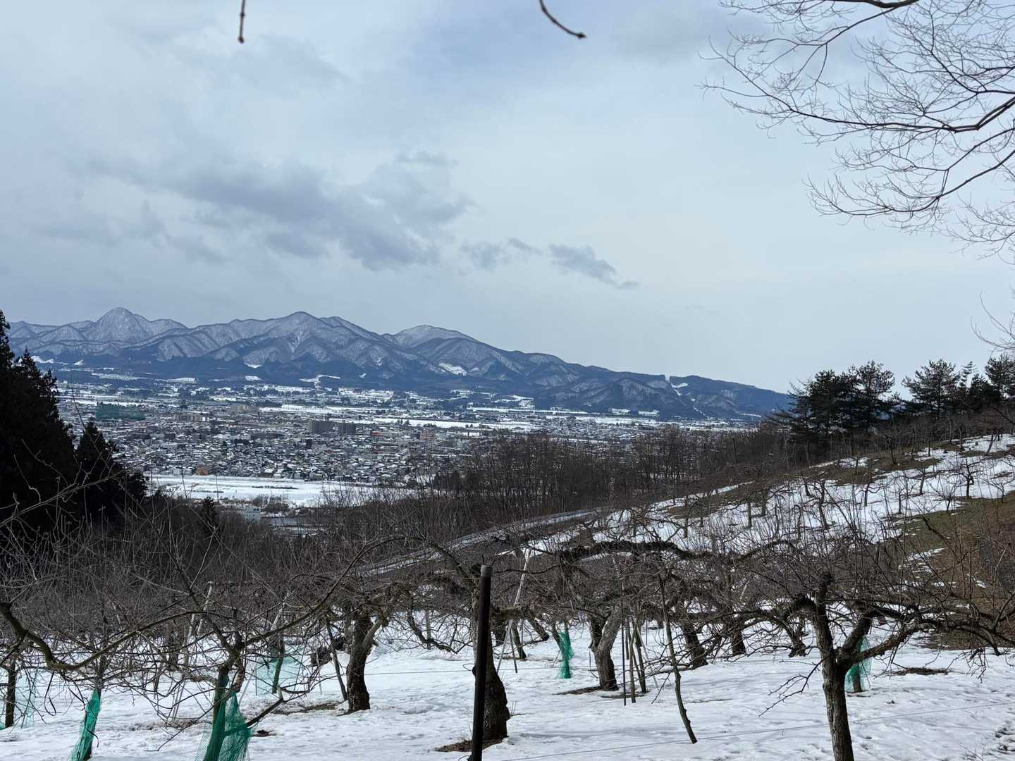 盛岡シティビューとりんごの木 