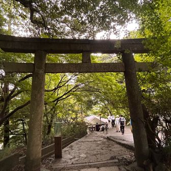下山〰️