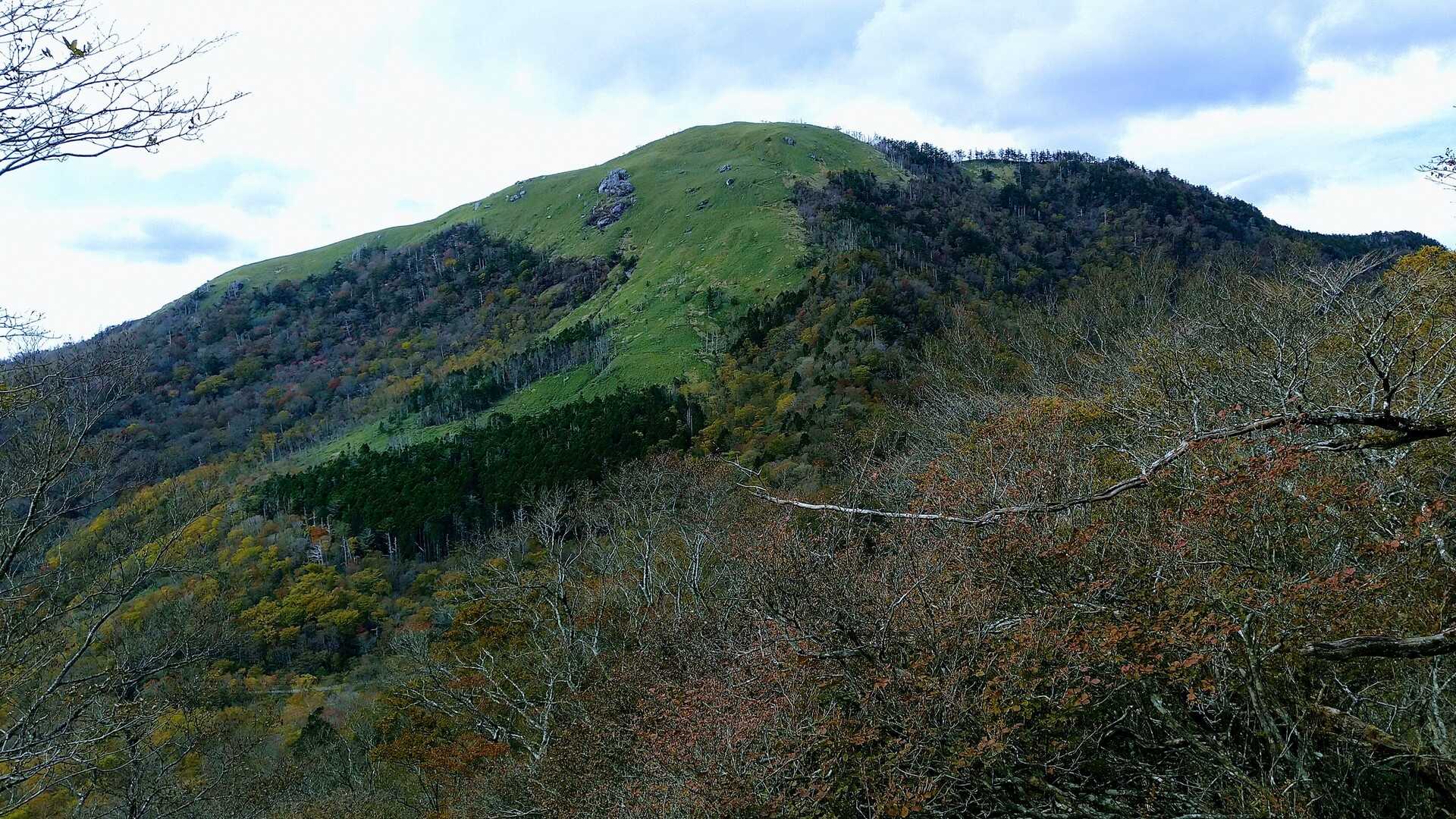 白髪山（高知・1770m）| 白髪山　大苗 登山ルート・天気 ヤマップ / YAMAP | 常緑樹