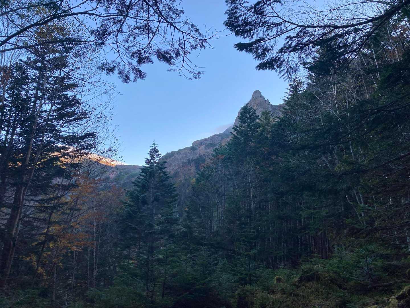 すんごい尖った山？がある！って思ったら大同心っていう岩だった🪨