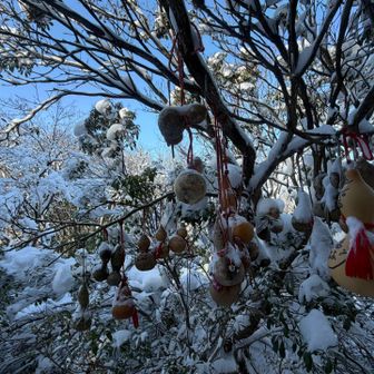 養老といえば、ひょうたんですね